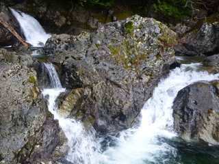 Exploring Washington State, The great Pacific Northwest