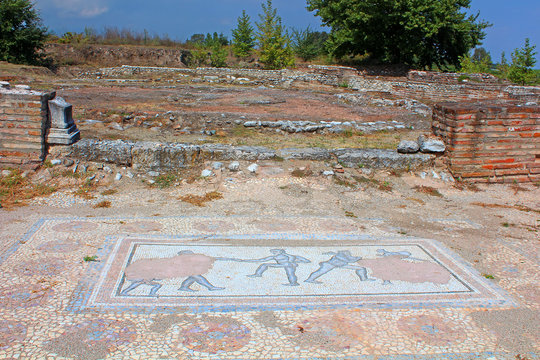 Archaic Roman era mosaic found at ancient Dion of Greece