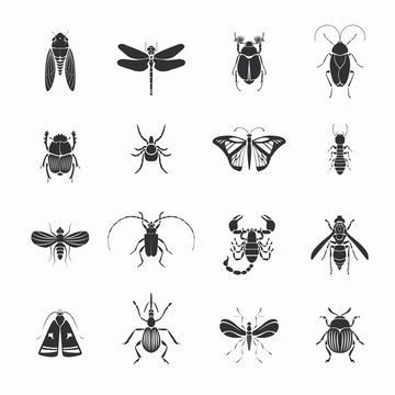 Monochrome Insects Silhouettes Set
