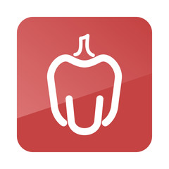 Pepper outline icon. Vegetable vector
