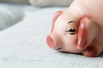 Naklejka premium Face of a clay pig
