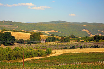 Cultivated fields in Greece