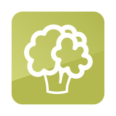 Cauliflower outline icon. Vegetable vector