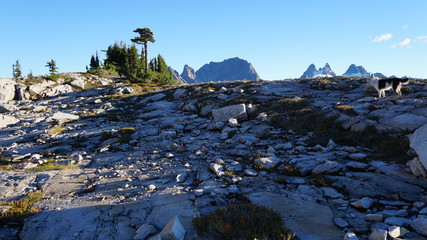 Washington Mountains, Pacific Northwest