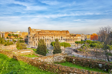 Fototapeta na wymiar Rome Colosseum from Palatine Hill