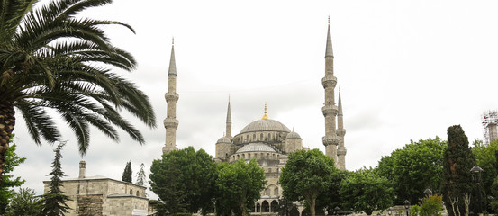 Naklejka premium The Blue Mosque, (Sultanahmet Camii), Istanbul, Turkey.