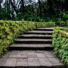 Stone Concrete staircase