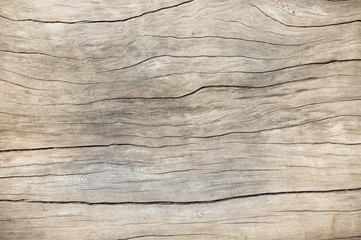 Texture wood oak older style, background wooden old dirty