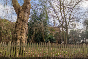Fototapeta premium Edge of the woods