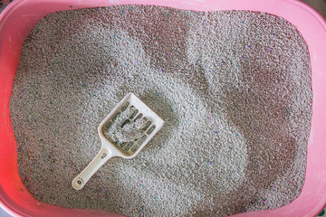 toilet cat Cleaning sand cat  in a litter box