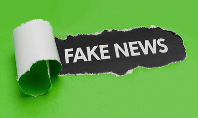 Zerrissenes Papier - Fake News