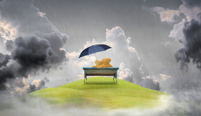 couple teddy bear on bench with umbrella over raincloud background. valentine background.
