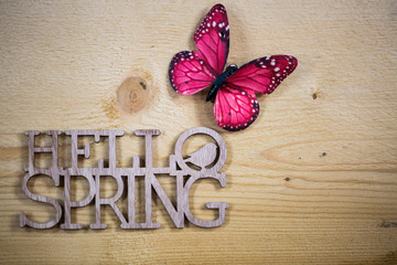 Hello Spring , auf Holz, Schmetterling
