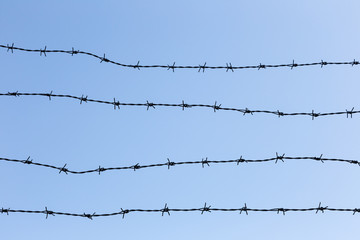 Fototapeta na wymiar barbed wire against the clear sky