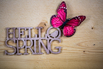 Hello Spring , als Text, symbolisch für Frühling