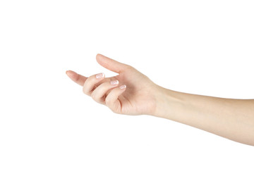 Woman's hand on a white background. Isolated.