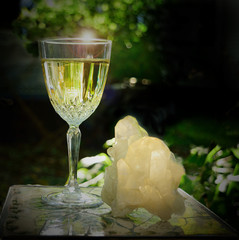 Spiritual Wine_1020_412