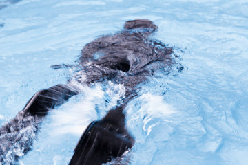 Obraz premium Blurred of Free diving training on swimming pool