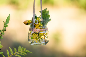 Decorated autumn wedding. Rustic