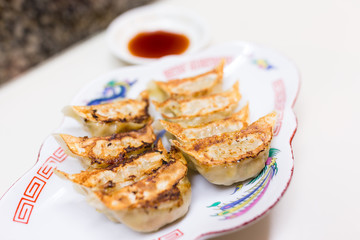 Japanese Meat dumplings