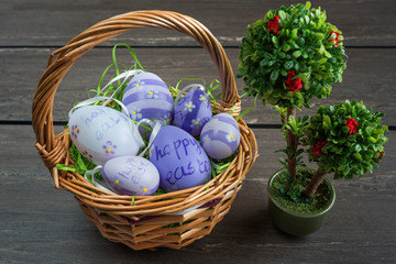 Easter wicker basket with colored eggs and a small bonsai on grey wooden board.