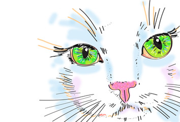 cat - drawing on tablet