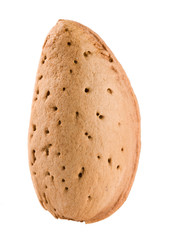 One almond nut isolated on white background close-up macro