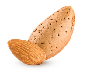 two almond nut isolated on white background close-up macro