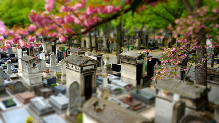 Cmentarz Montmartre, Paryż, Francja  - obrazy, fototapety, plakaty