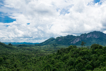 Fototapeta na wymiar Blick auf den Khao Sok Nationalpark, Dschungel, Thailand 