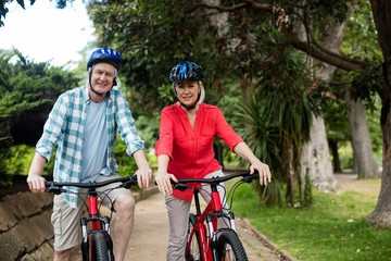 Obraz premium Portrait of senior couple standing with bicycle in park