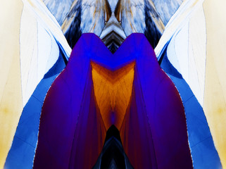 Micro Photography of Microcrystals mirrored