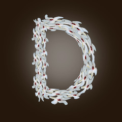 D - LETTERA DELL'ALFABETO