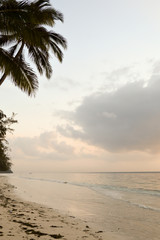 Fototapeta premium View of the beach and ocean at sunrise