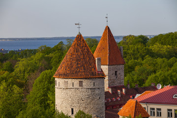 Medieval towers of old town of Tallinn. Summer green season.