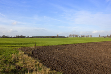 Fototapeta na wymiar dry grasses plow soil and wheat