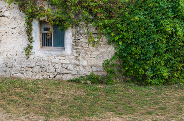 Fototapeta na wymiar the wall of small abandoned stone house overgrown with lianas