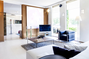 modern beautiful apartment in new luxury home interior