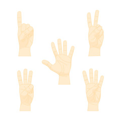 Cartoon Human Hand Showing Numbers Set. Vector