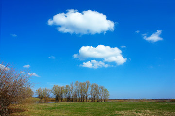 White clouds on the background of the spring blue sky