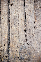Old dry, weathered boards, covered with lichen.
