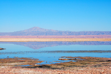 Wonderful Lagoon Chaxa in the Atacama Desert in Chile