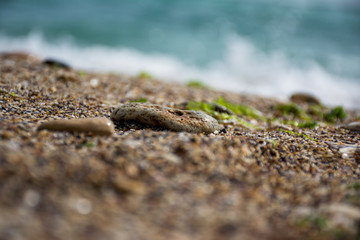 Seaside view