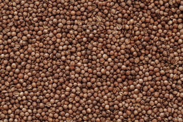 coriander seeds background
