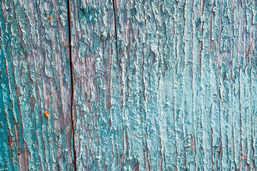 old, weathered boards with peeling paint.