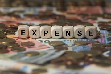 expense - cube with letters, money sector terms - sign with wooden cubes