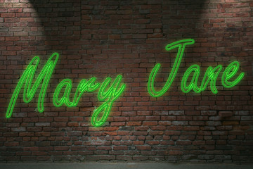 Leuchtreklame Mary Jane  an Ziegelsteinmauer