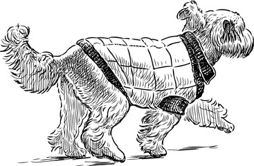 sketch of a striding lap dog