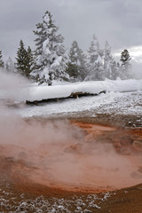 Hot springs in Fountain Paint Pot, Yellowstone National Park