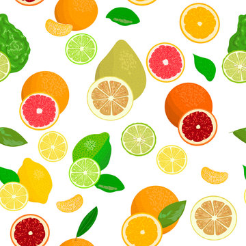 Fresh Citrus set. Bergamot, lemon, grapefruit, lime, mandarin, pomelo, orange, blood orange with slices